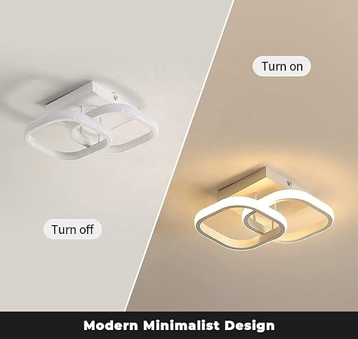 PANCA plastic Ceiling Light for Hall, Minimalist 22W LED Light for Room, Surface Lights